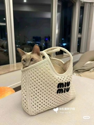 미우미우 5BG281_2F8E_F0N13_V_OOO 아이비 메쉬 코튼 백, 초크 화이트/블랙, M1