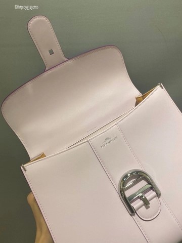 Delvaux Brillant MM 박스 카프 핑크