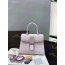 Delvaux Brillant MM 박스 카프 핑크