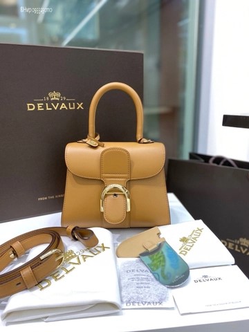 Delvaux Brillant MINI 박스 카프 베이지