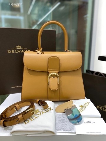 Delvaux Brillant MM 박스 카프 베이지