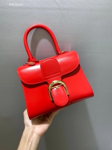 Delvaux Brillant MINI 박스 카프 레드