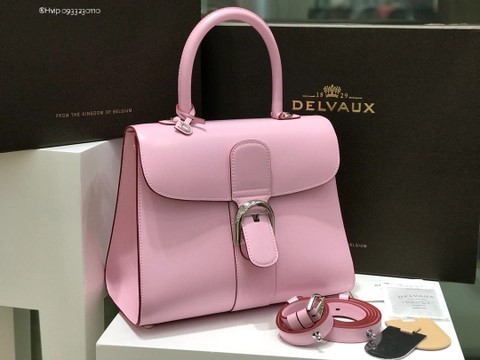 Delvaux Brillant MM 박스 카프 핑크