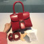 Delvaux Brillant MINI 박스 카프 와인